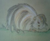 dessin 3