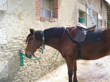mes deux amour de toujour