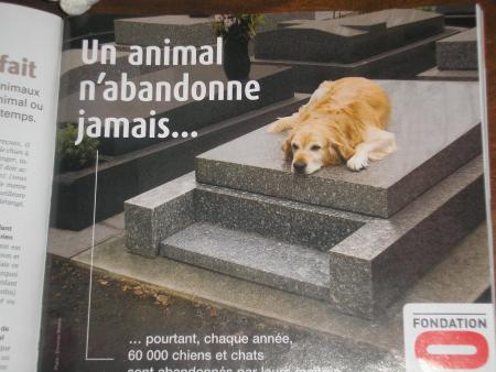 un animal n'abanbonne jamais...